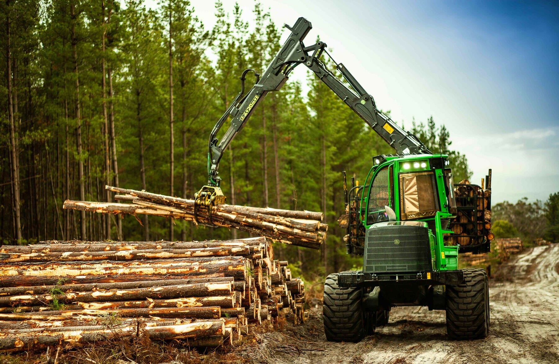 RDO---forestry-shoot--5_LR_1800 RDO