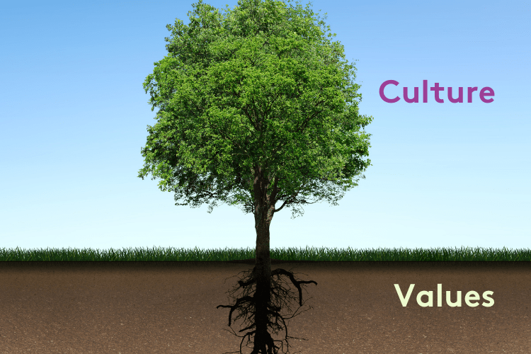 Values vs Culture – what’s the difference?
