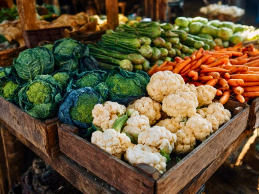 Strengthening the voice of NSW’s fresh produce supply chain 