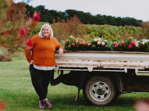 Helping rural women tell the stories that matter 